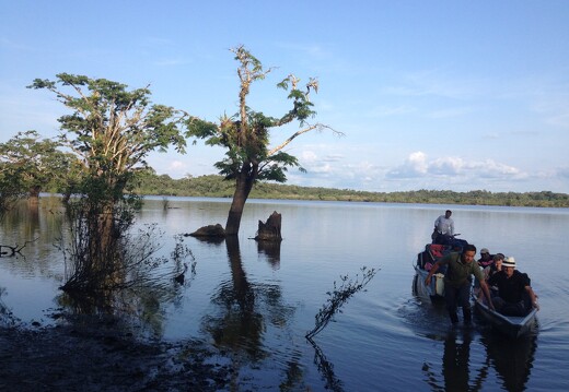 Amazonie équatorienne 3