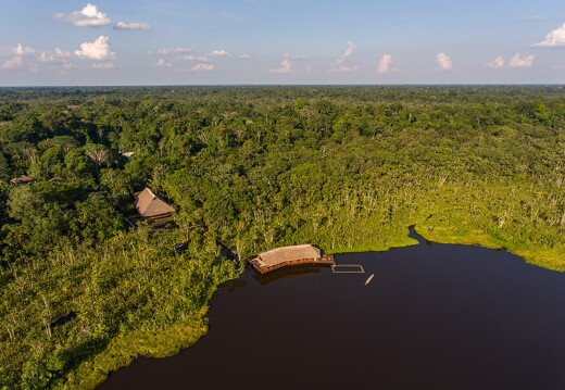 Sacha Lodge (Amazonie)