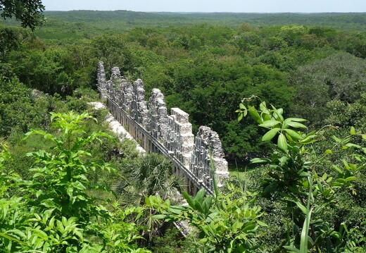 Ruines maya dans la jungle tropicale